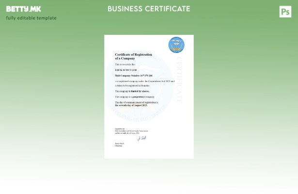 модерен стил на Мали сертификат за регистрација на бизнис Шаблон за Word и PDF ш